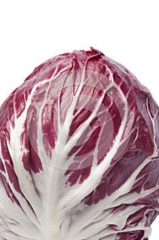 Radicchio rosso close up
