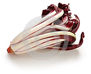 Radicchio rosso di treviso tardivo photo