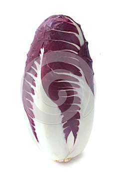 Radicchio Rosso