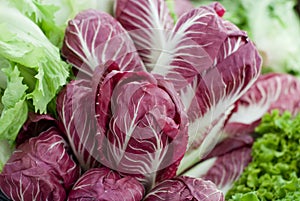 Radicchio salad