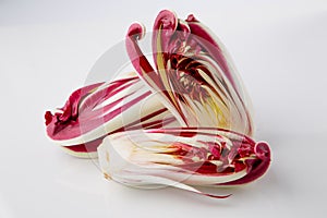 Radicchio treviso