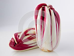 Radicchio treviso