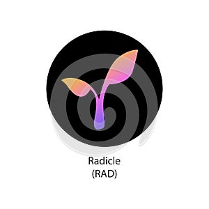 Radicle decentralized cryptocurrency cryptocoin vector logo icon photo