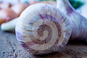 Radicle heads of garlic