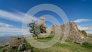 Radicofani tower and a tree