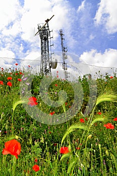 Radio location masts in spring nature