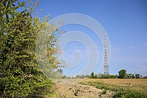Radio mast among trees seen from a plowed field on a sunny day in the italian countryside