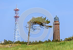 Radio tower, lighthouse and wind swept pine