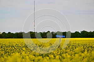 Radio tower for mobile LTE UMTS in Kollund in Denmark near Flensburg behind a yellow rapeseed field photo