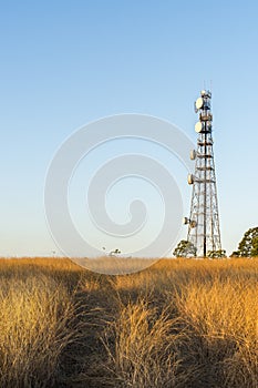 Radio Tower in Queensland