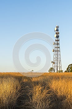 Radio Tower in Queensland photo