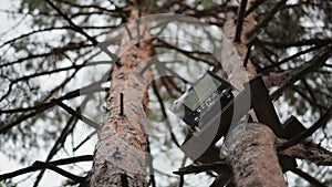 Radio on the tree against the sky