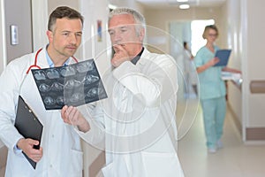 Radiologists looking at x-ray in hospital corridor