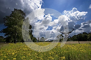 Radiotelescope in a meadow of