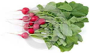 Radish