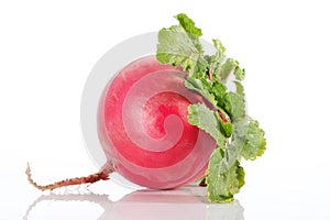 Radish