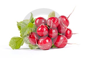 Radish