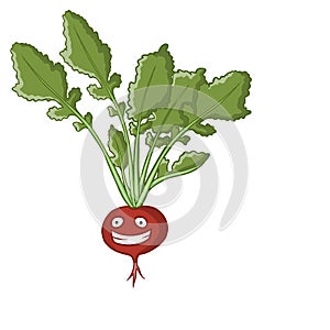 Radish