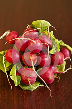 Radish bunch