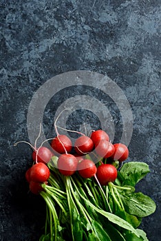 Radish bunch, top view