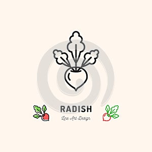 Radish icon Vegetables logo. Thin line art design