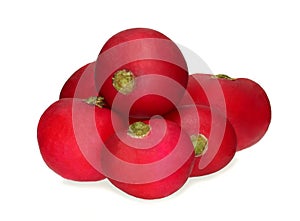 Radish isolated on white background