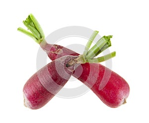 Radish isolated on white background