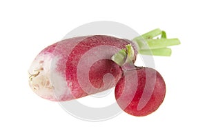 Radish isolated on white background