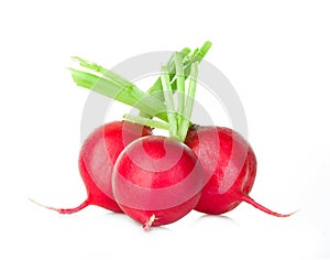 Radish isolated on white