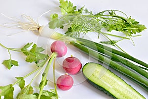Radish with leaves, green onions and a cucumber cut in half