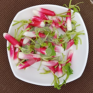 Radish
