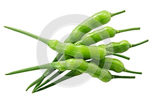 Radish pods Raphanus sativus silique isolated on  white