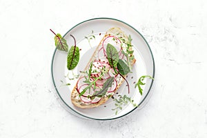 Radish sandwiches with cottage cheese and fresh green leaves