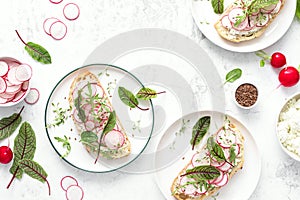 Radish sandwiches with cottage cheese and fresh green leaves