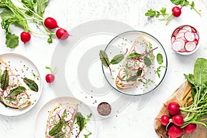 Radish sandwiches with cottage cheese and fresh green leaves