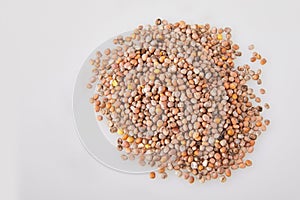 Radish seeds isolated on white.