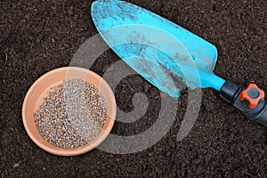 radish seeds on a plate with a shovel. sowing radish seeds in the vegetable garden