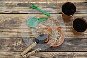 Radish seeds for sowing. Sowing tools with urban vegetable garden seedbeds