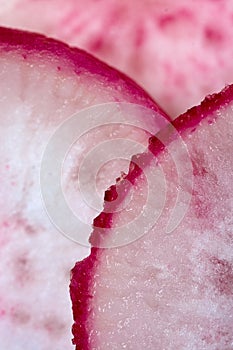 Radish Slices