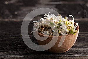 Radish Sprouts in a Wooden bowl