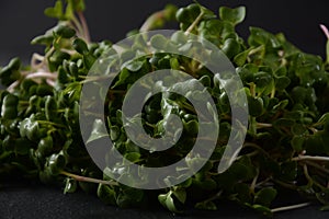 Radish Sprouts in wooden bowl. Japanese or oriental radish