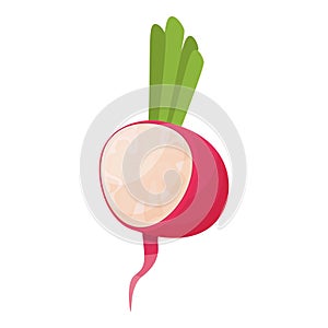 Radish vegetable icon cartoon vector. Healthy diet