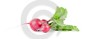 Radish on white background. Fresh ripe vegetables