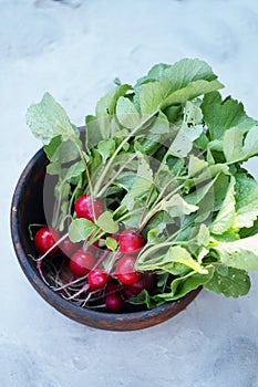 Radish in a wooden bowl