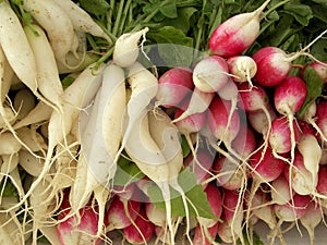 Radishes