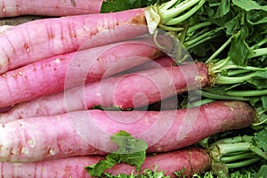 radishes