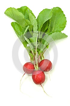 Radishes