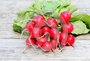 Radishes
