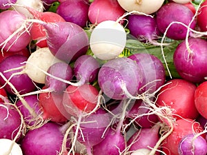 Radishes
