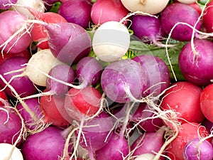 Radishes photo